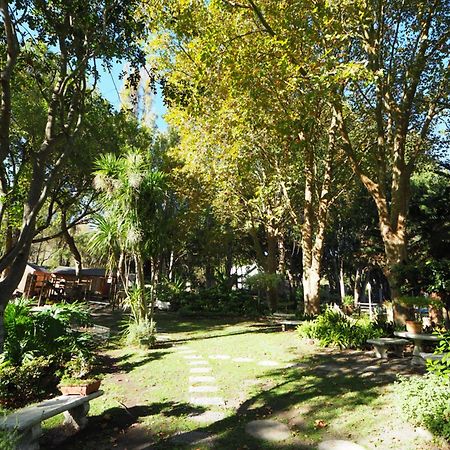 Waterland Lodge Hout Bay Extérieur photo