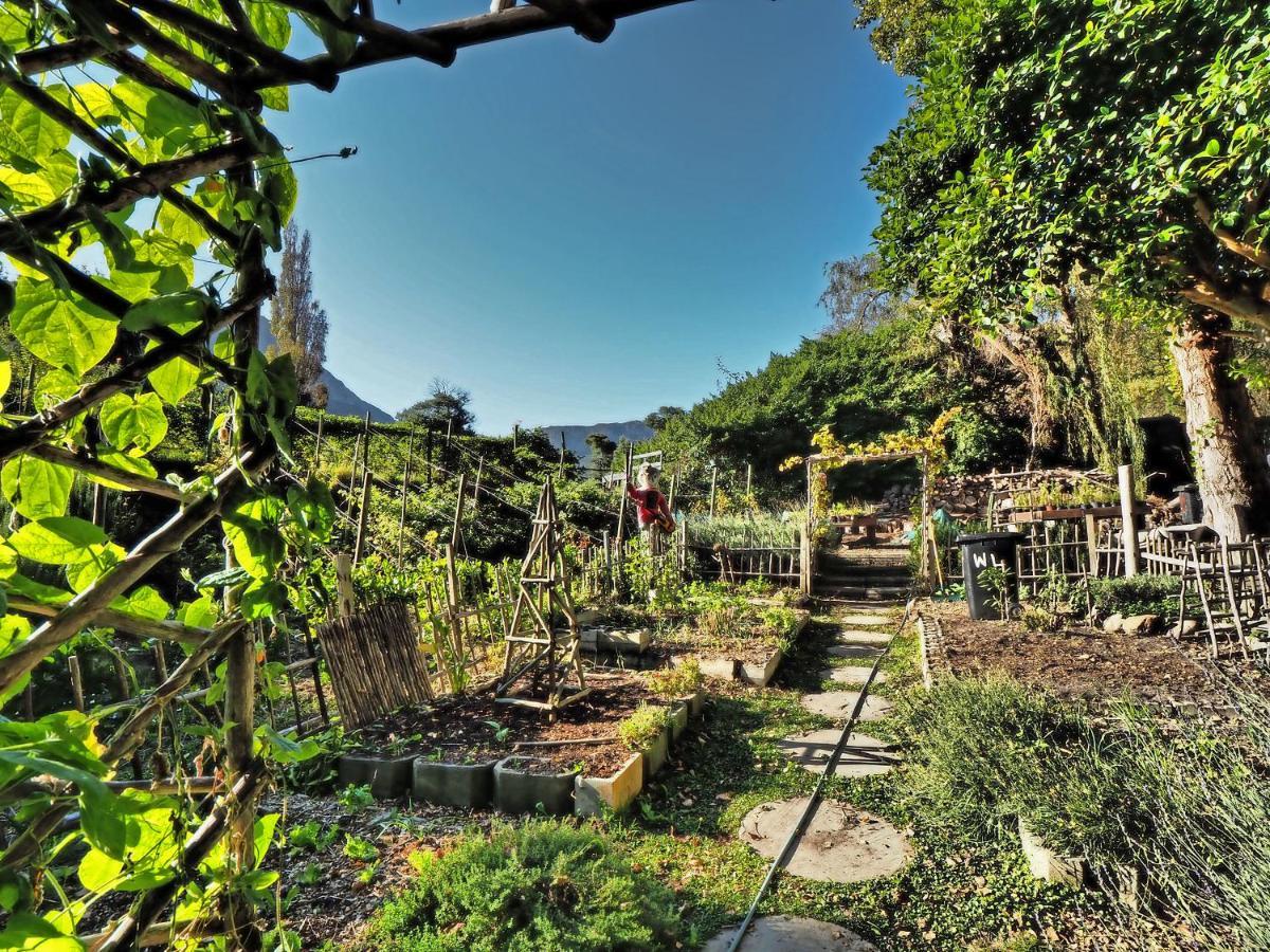 Waterland Lodge Hout Bay Extérieur photo