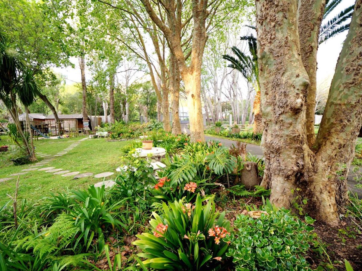 Waterland Lodge Hout Bay Extérieur photo