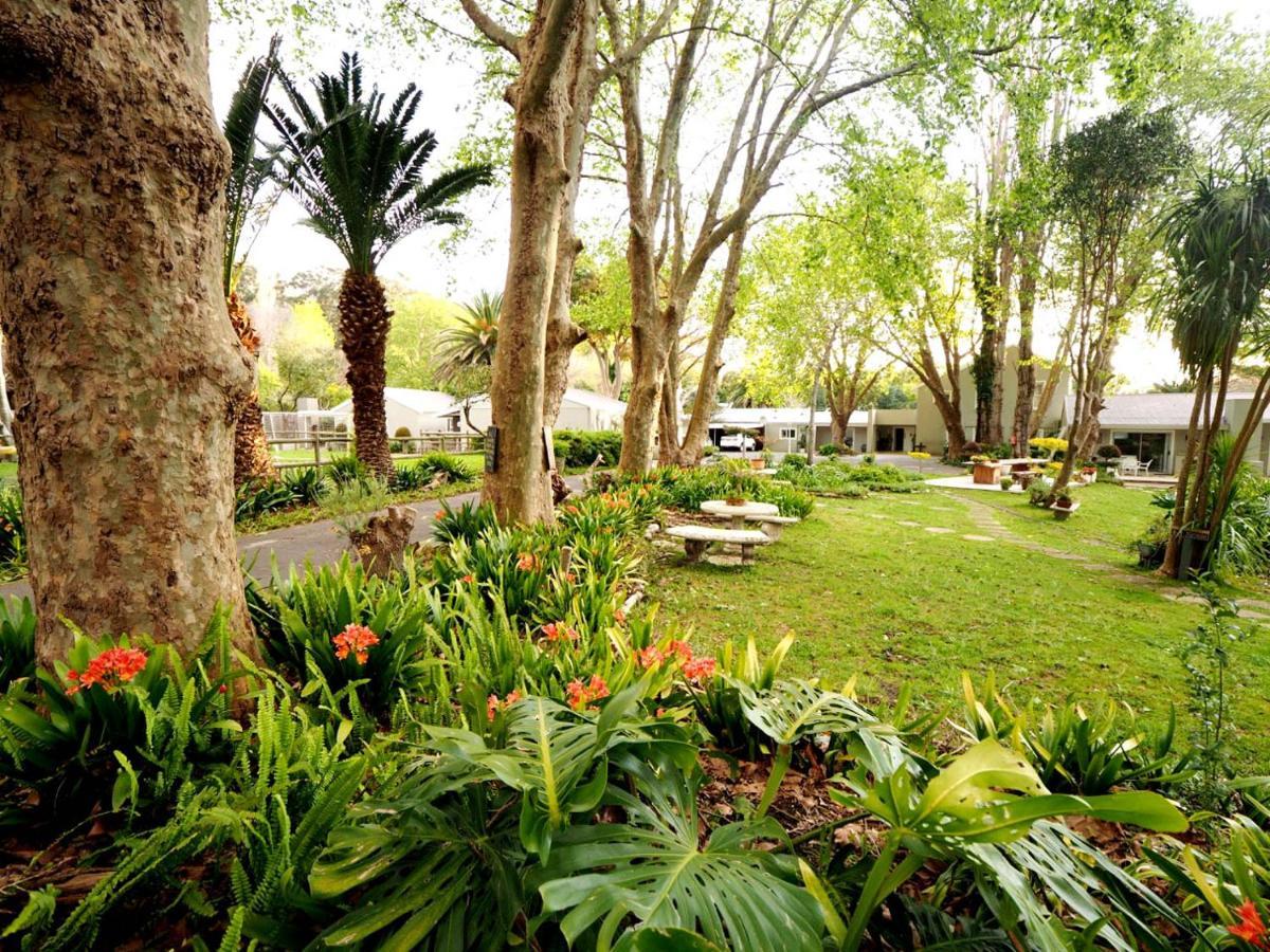 Waterland Lodge Hout Bay Extérieur photo