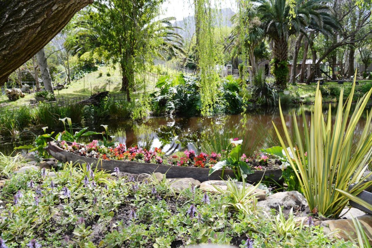 Waterland Lodge Hout Bay Extérieur photo